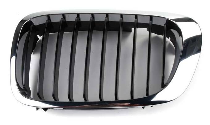 BMW Kidney Grille - Front Driver Side (Black) 51138208683